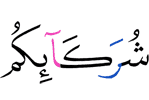 (of) your partners