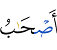 (are) companions