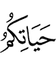 your life
