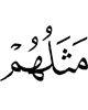 (is) their similitude
