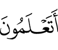 "Do you know