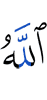 Allah will punish them