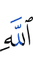 (the) masajid of Allah